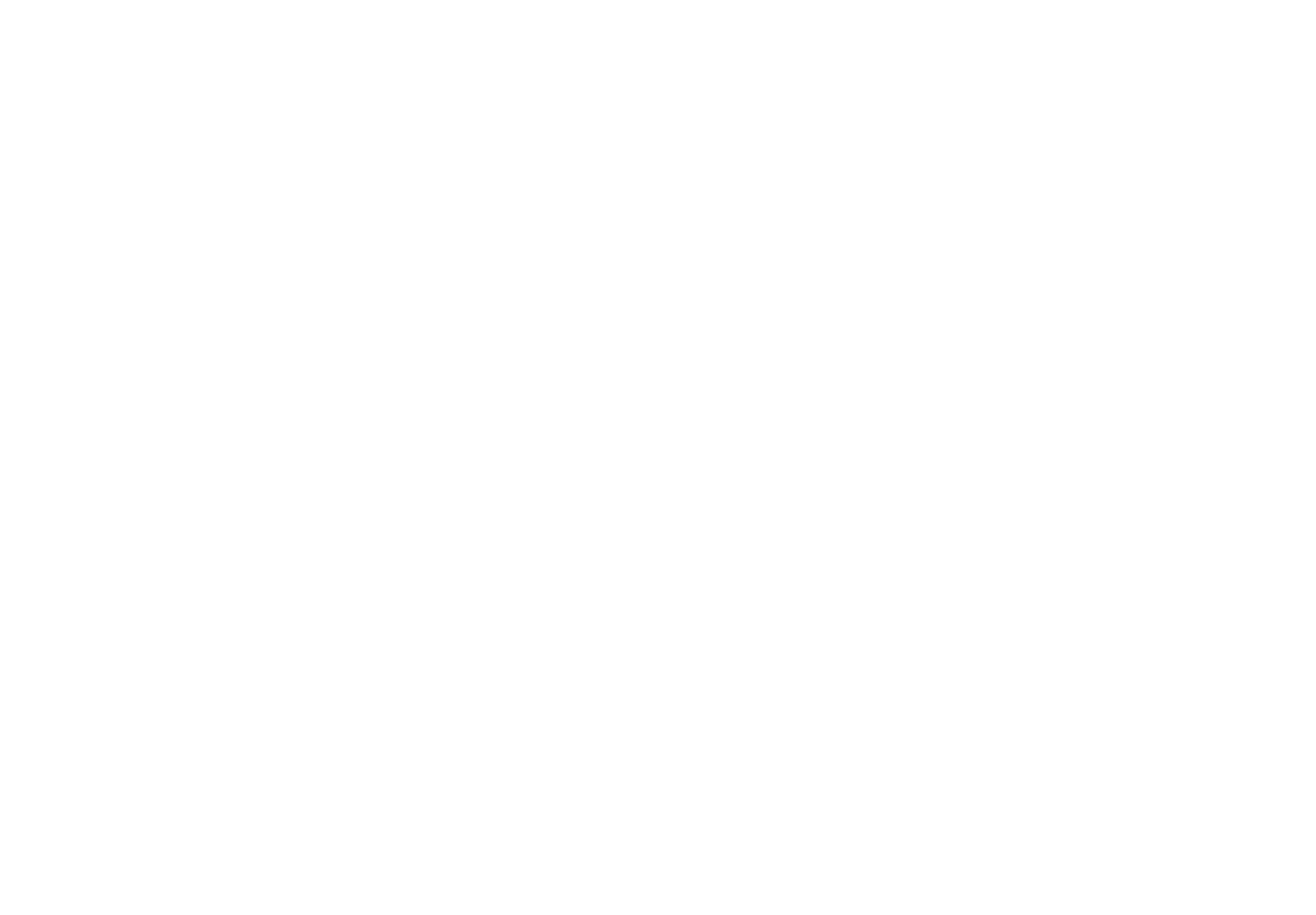 Lienhard VIII